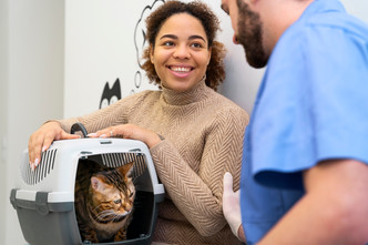 Elevating After-Procedure Care in Veterinary Clinics 