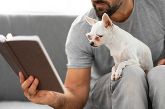 Why Seasonal Pet Safety Guides Are a Game-Changer for Veterinary Clinics 