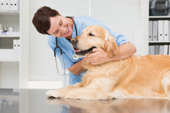 Tips to Give Your Veterinary Practice a Competitive Edge