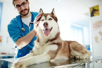 Getting Clients in the Habit of Regular Checkups