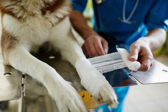 Establishing a Thriving Clinic in a Competitive Industry