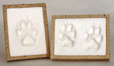 Pricing With Compassion: Sensitive Approaches to Adding Memorial Products to Your Veterinary Services
