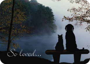  The Importance of Pet Sympathy Cards in Veterinary Care