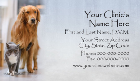 Veterinary business card featuring a golden retriever and gray cat beside a silver-gray panel containing clinic contact information.

