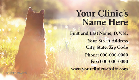 Veterinary business card featuring a cat sitting in a sunlit grassy field with clinic contact information displayed on the right side.

