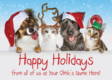 XMS37 - Holiday Card (XMS37)