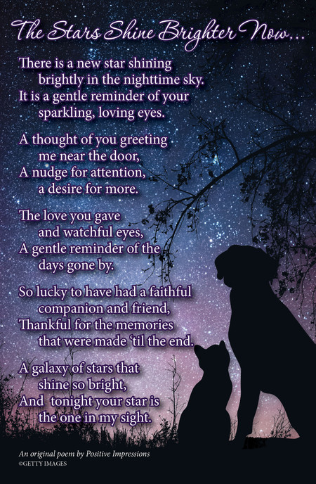 Starry night sky with blue and purple tones, silhouetted dog and cat, tree branches, landscape foreground, and the poem "The Stars Shine Brighter Now..."

