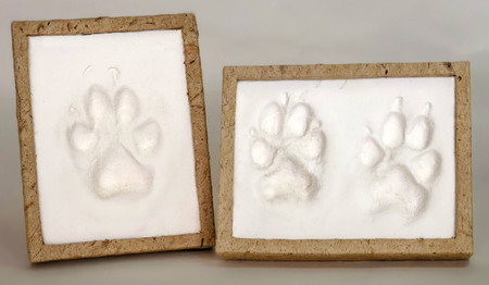 Large Pet Rectangle Keepsake Impression Kit with natural fiber frame, large paw print impression area, and easel-back display stand.