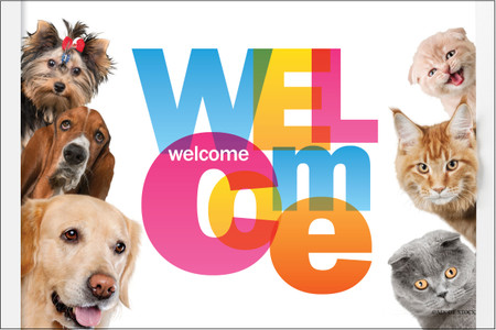Colorful welcome postcard featuring dogs and cats surrounding a large multicolored "Welcome" message.

