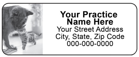 Product Details: 2 5/8" x 1" Return Address Labels, 120 per pack, Multiple Imprint colors available, One color combo per design, Main design colors cannot be changed

