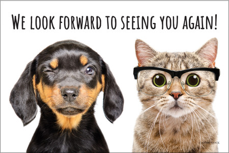 Winking puppy and cat wearing eyeglasses with the message "We Look Forward to Seeing You Again!"