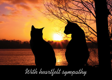 SYMCAT37 - Sympathy Card