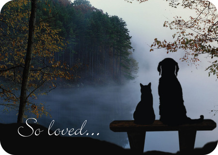 Front shows “So loved...” with dog and cat silhouettes on a bench overlooking a misty lake; back features a memorial verse with the same forest and lakeside background.
