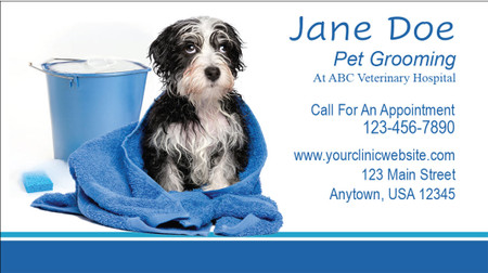 Veterinary grooming business card featuring a wet black-and-white dog wrapped in a blue towel beside a bucket, sponge, and grooming supplies.

