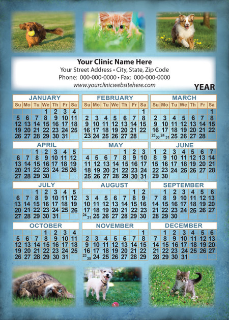 Pet photo collage calendar featuring dogs and cats outdoors on a blue textured background with a white personalization area and  yearly calendar.