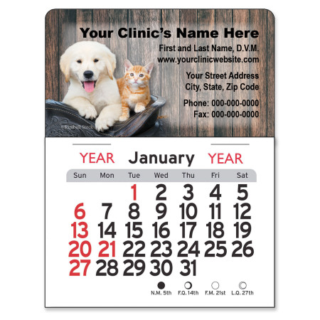Golden retriever puppy and orange tabby kitten sitting in a basket against a rustic wood plank background with customizable veterinary clinic information and monthly mini calendar.

