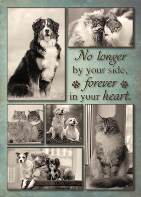 Sepia collage sympathy card of dogs and cats and the saying “No longer by your side, forever in your heart."