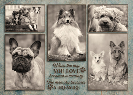 Black-and-white collage of multiple dog portraits including various breeds with a central quote reading “When the dog you love becomes a memory, the memory becomes a treasure.”