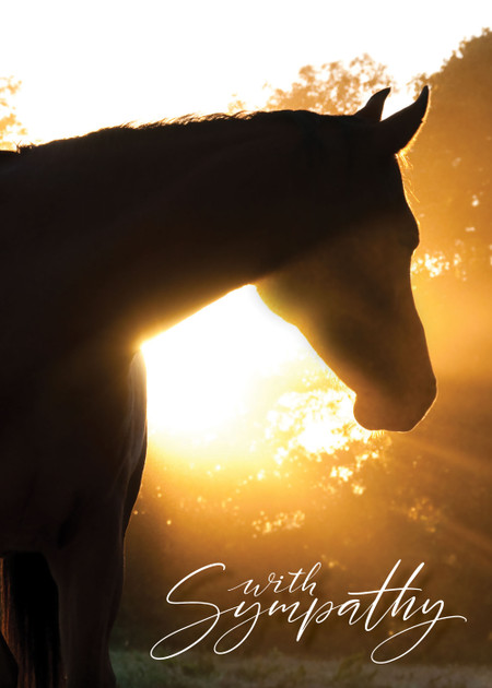 Silhouette of a horse standing in warm golden sunlight at sunrise or sunset with the words “With Sympathy” in elegant script.