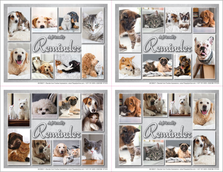 Veterinary reminder cards featuring a collage of dogs and cats with soft gray backgrounds and “A Friendly Reminder” text in a clean