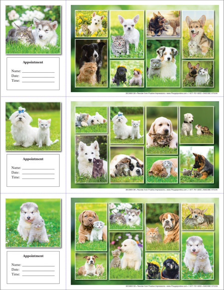 Veterinary reminder card sheet featuring a collage of puppies and kittens in bright green outdoor settings with multiple pet photo panels and appointment section
