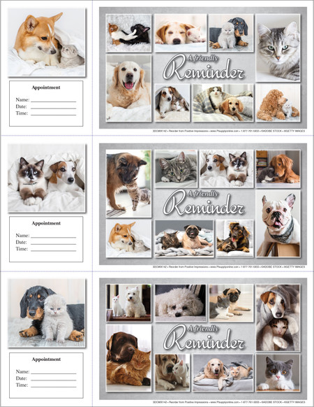 Veterinary reminder card with soft neutral pet photo collage featuring dogs and cats in calm indoor settings and friendly reminder text