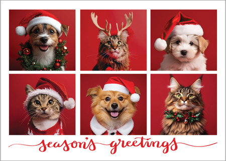 Veterinary holiday card featuring six dog and cat portraits arranged in a collage layout against red backgrounds. Pets wear Santa hats, reindeer antlers, holiday sweaters, and festive greenery. The card includes the red script message “season's greetings.”