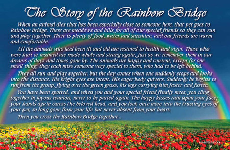 Rainbow over a green meadow with red and yellow wildflowers beneath a blue sky and the memorial text “The Story of the Rainbow Bridge.”

