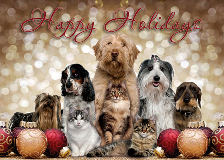 XMS15 - Holiday Card