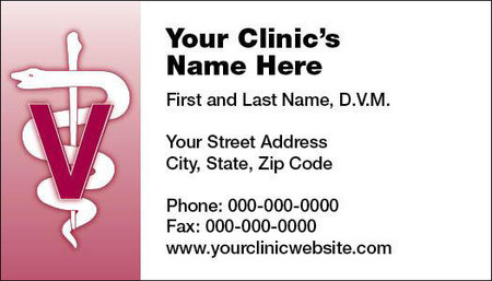 Veterinary business card featuring a magenta letter V over a veterinary staff symbol on a pink gradient panel with contact information on a white background.


