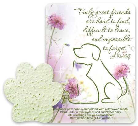 Green paw-shaped seed paper with floral memorial card featuring dog and cat outline artwork and the quote about truly great friends.
