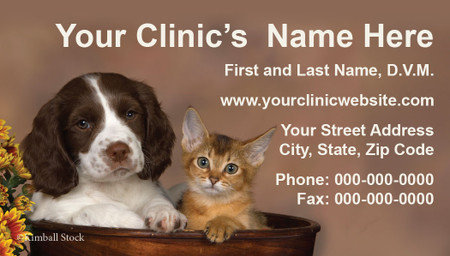 Veterinary business card featuring a brown and white puppy and orange kitten sitting together in a wooden tub against a warm brown background.

