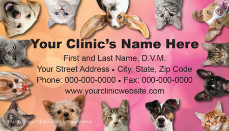 Veterinary business card featuring a border of dog and cat portraits surrounding clinic contact information on a pink and peach gradient background.

