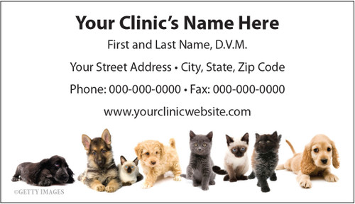 Veterinary business card featuring a lineup of puppies and kittens along the bottom with centered clinic contact information on a light gray background.

