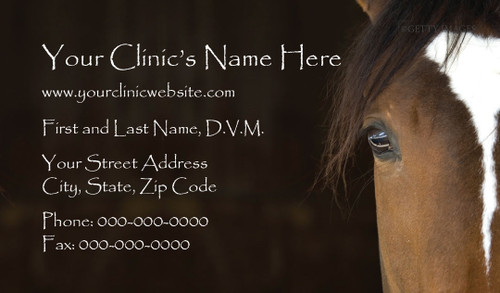 Veterinary business card featuring a close-up horse portrait with a dark brown background and white contact information text.

