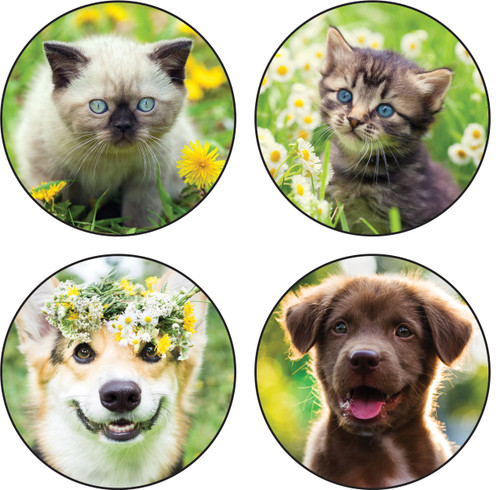 KSDC2 - Kid Stickers KSDC2 - Kid Stickers