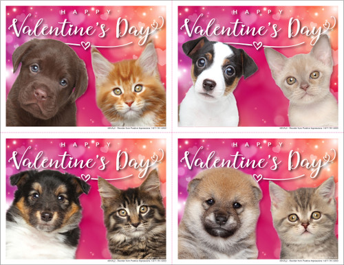 4SVAL2- 4 Up Reminder Cards 4SVAL2- 4 Up Reminder Cards