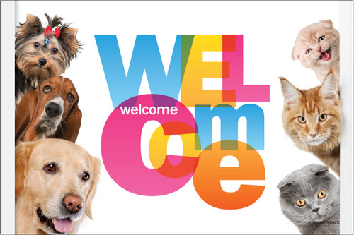 Colorful welcome postcard featuring dogs and cats surrounding a large multicolored "Welcome" message.