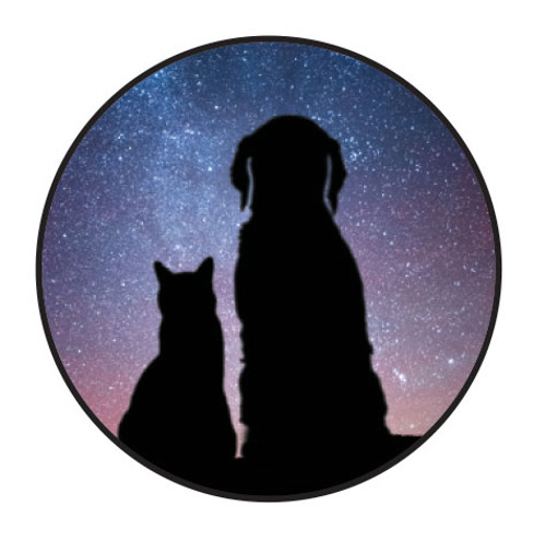 dog and cat silhouette