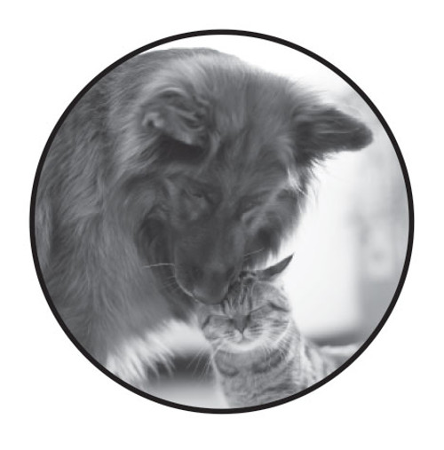 LRDC5- 1" White Label dog/cat snuggling in black & white (LRDC5) LRDC5- 1" White Label dog/cat snuggling in black & white (LRDC5)