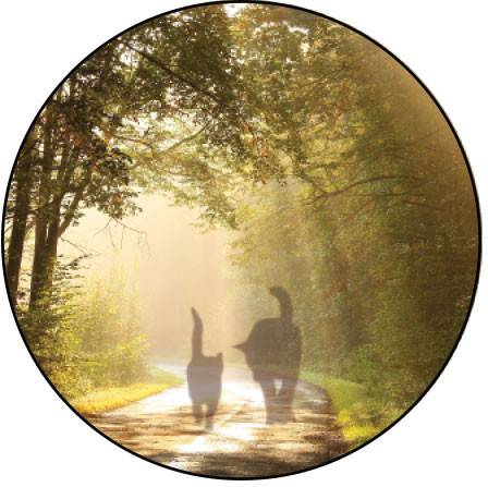 LRDC6- 1" White Label with a dog/cat walking down sunlit path (LRDC6)