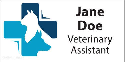 Personalized name tag featuring a blue veterinary cross with white dog and cat silhouettes, light gray background, and bold black custom name and title text.

