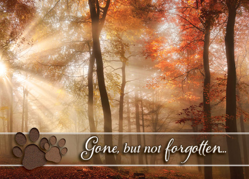 SYMPAW22 - Sympathy Card (SYMPAW22) SYMPAW22 - Sympathy Card (SYMPAW22)