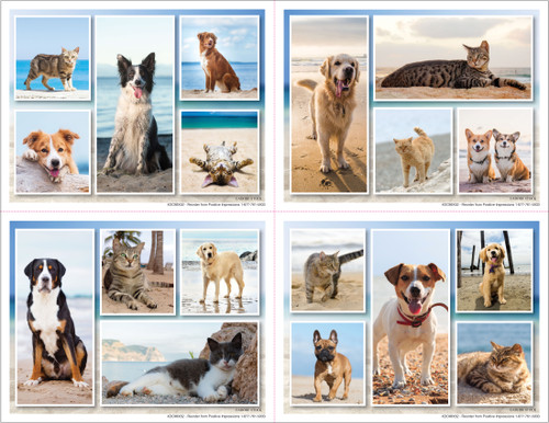 4DCMIX52 - 4 up Reminder Card (4DCMIX52)