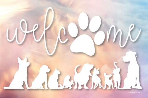 Welcome design featuring a large paw print, pet silhouettes, and a soft pastel watercolor background.