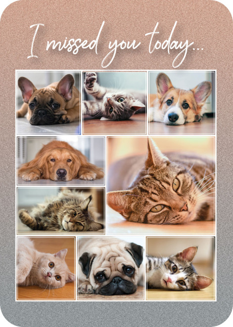 Front features “I missed you today...” above a collage of dog and cat photographs; back displays a memorial poem within a rounded border on a textured background.


