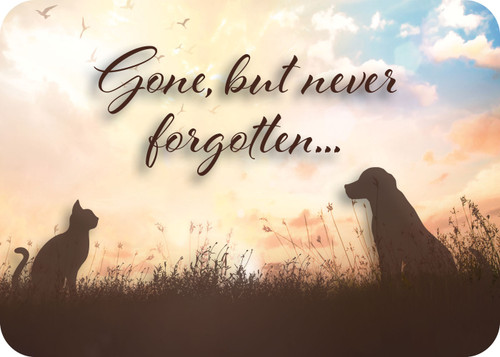 Front shows “Gone, but never forgotten...” above cat and dog silhouettes in a grassy field with clouds and birds; back features a memorial quote by G. Randolf.

