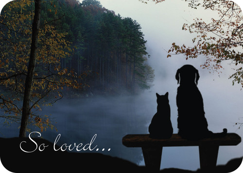 Front shows “So loved...” with dog and cat silhouettes on a bench overlooking a misty lake; back features a memorial verse with the same forest and lakeside background.
