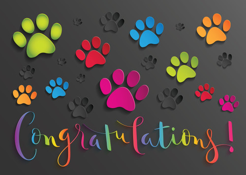 CONGRATS3- Congratulations Card (CONGRATS3) CONGRATS3- Congratulations Card (CONGRATS3)