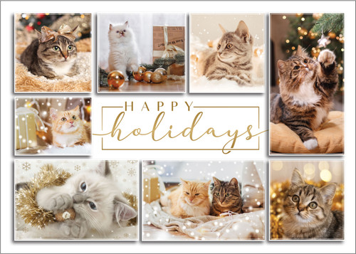 XMS63 - Holiday Card (XMS63)  XMS63 - Holiday Card (XMS63)